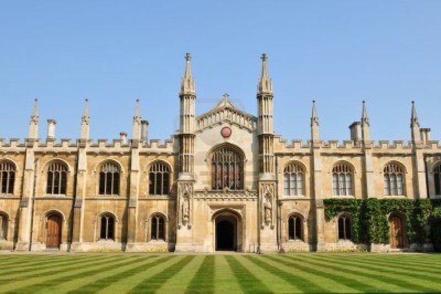 Rules Official Everywhere