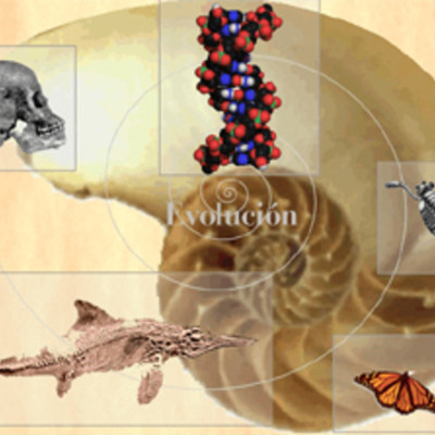 Timeline: Desarrollo de la Teoría de la Evolución