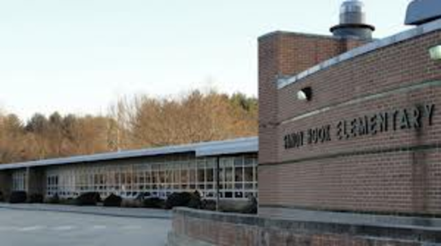 Sandy Hook Elementary School Shooting