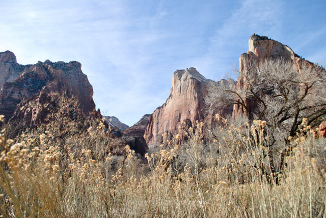 Visited Zion National Park