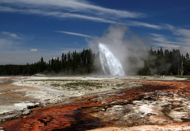 YellowStone Park