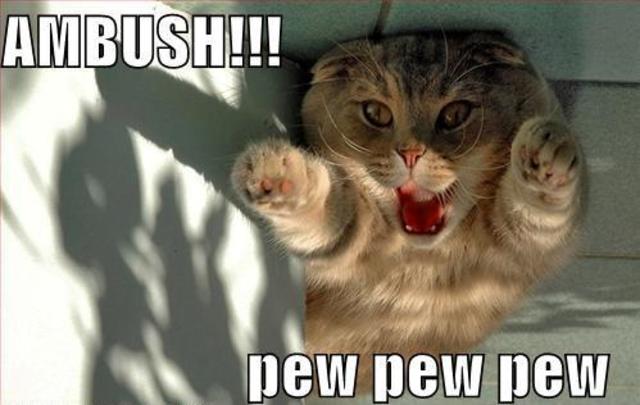 Attack on Himmelstoss