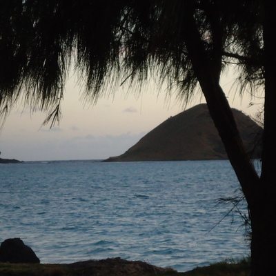 Timeline: Life's Events