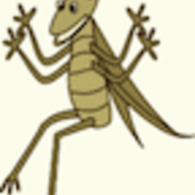 Timeline: The Crickets at School