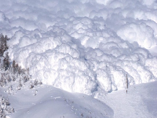 Avalanche kills 39 french