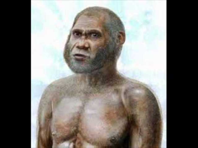 Span scientists announce new human species in 780,000 year old fossil