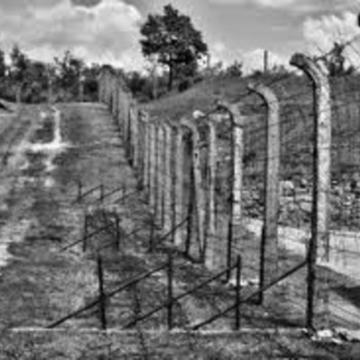 Timeline: Daily Life in Concentration Camp