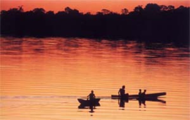 Program Management of International Technical Cooperation in S&T for Amazon-PROCINT/AMAZON