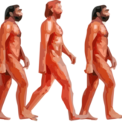 Timeline: DESARROLLO DE LA TEORIA DE LA EVOLUCION