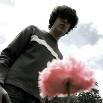 Timeline: Un Ano que se examina