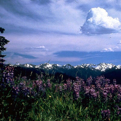 Timeline: Historical Happenings in the Pacific Northwest