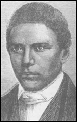 Henry McNeal Turner Elected to Senate