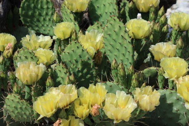 Move #6 to Scottsdale, AZ