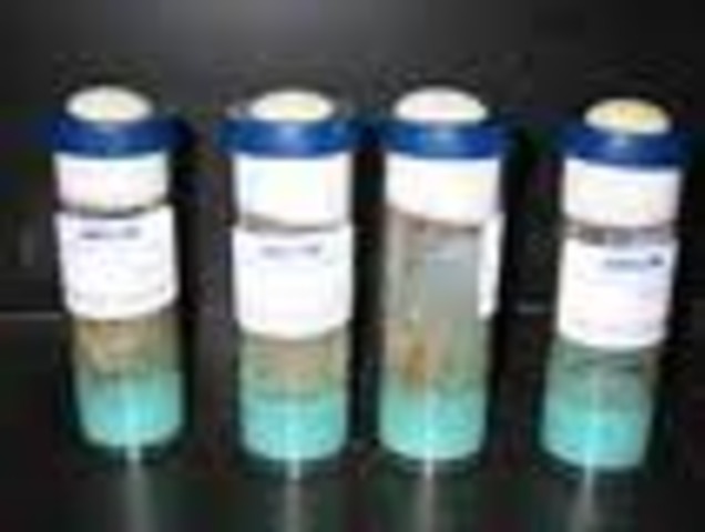 first animals in space (fruit flies)