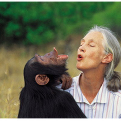 Timeline: Jane Goodall - The Great Conservationist