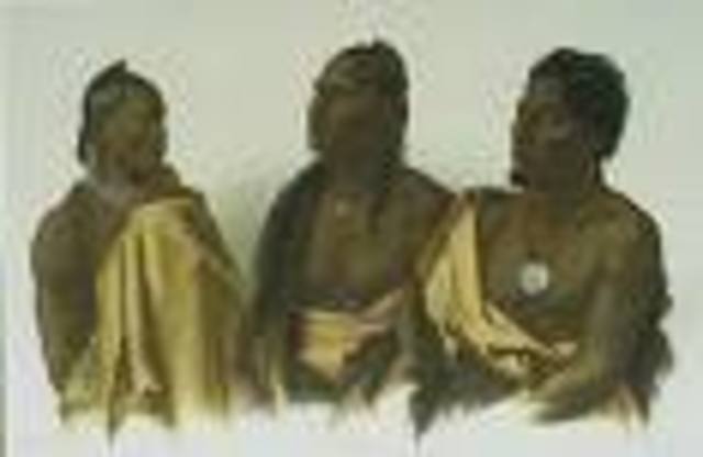 Lewis and Clark Hold the First Council with Indians