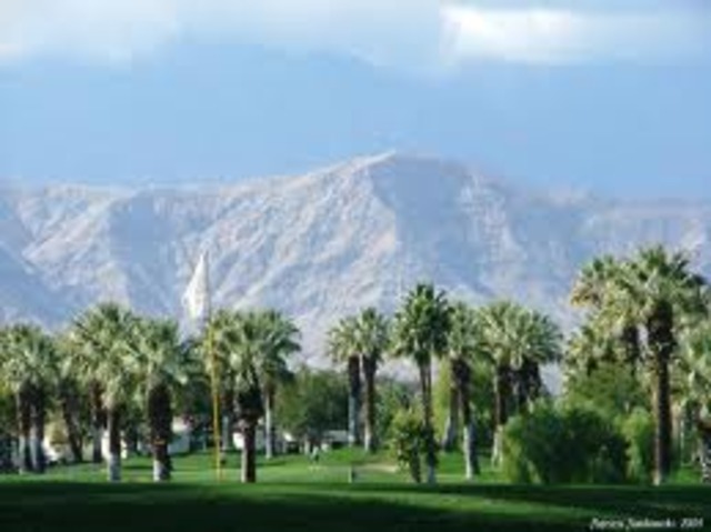 Spring Break- Palma Desierto