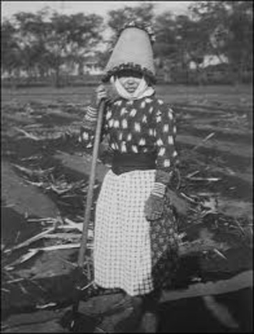 Oahu Sugar Strike of 1920