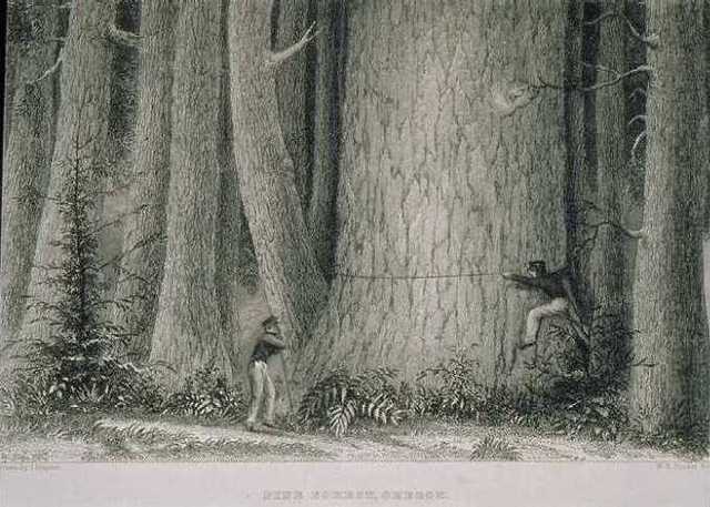 The United States Exploring Expedition-Environment