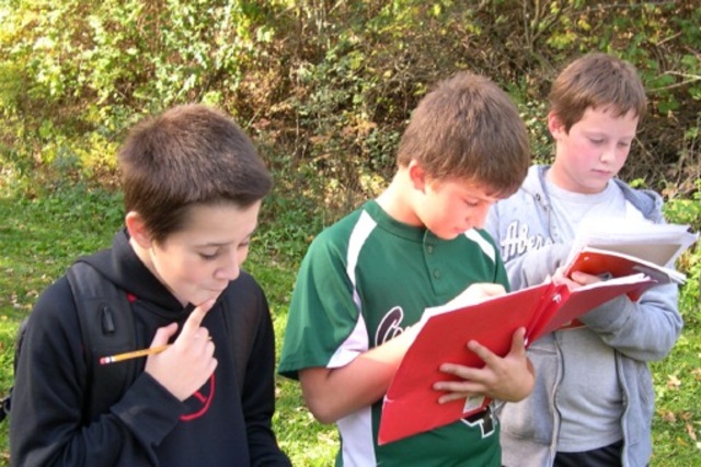 Describes an observation