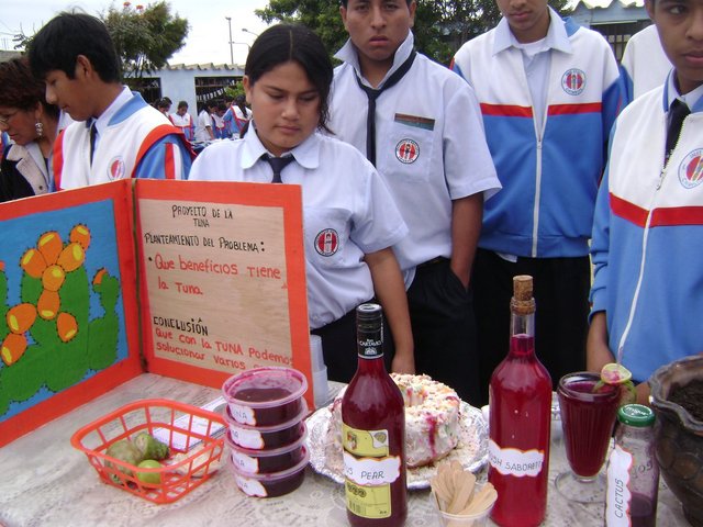 feria de ciencias
