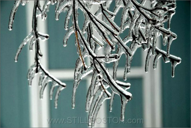 Aliens need to move!