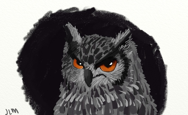 I submitted my portfolio to CCAD