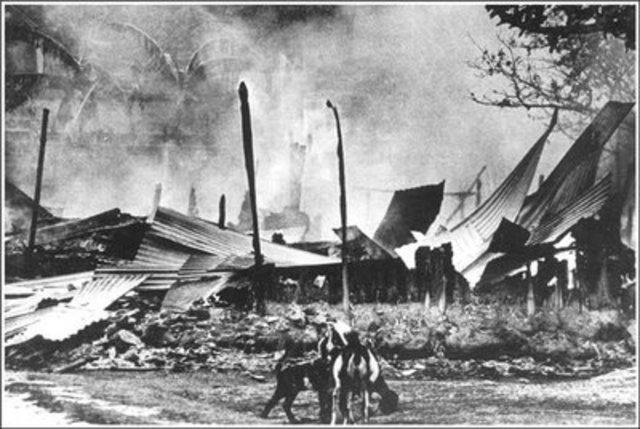 1971: Bangladesh War (Genocide)