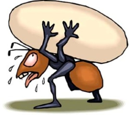 Extenso trabajo, poca producción