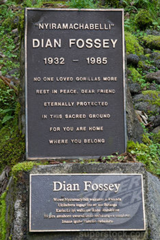 Dian Fossey was killed.