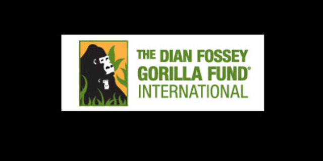 The Digit Fund is changed to the DFGF