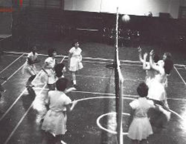 Volleyball At the Playground of America convention