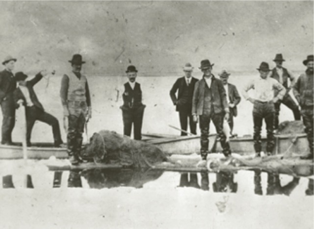 Fish save starving pioneers