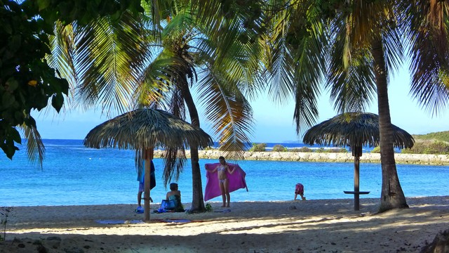 Sandrine & Albert Marques