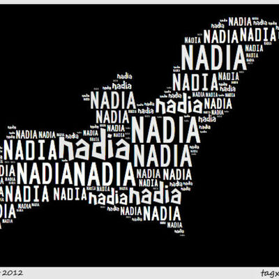 Timeline: Naidas timeline and 5 inportant events