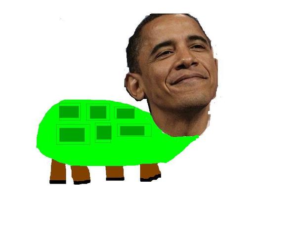 President Obama is Elected