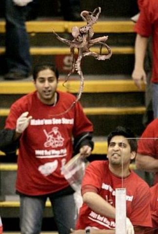 Legend of the Octopus