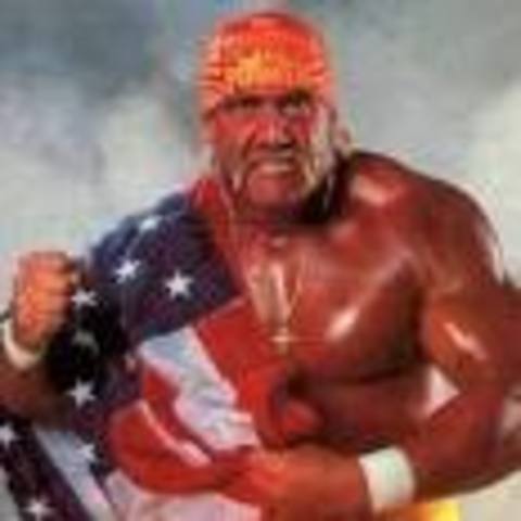 wwe in the 1985 intorduced hulk hogan