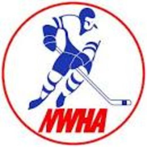 The World Hockey Association (WHA)
