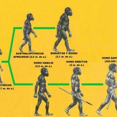 Timeline: Cronología de los científicos que aportaron algo a la teoría de la evolución.