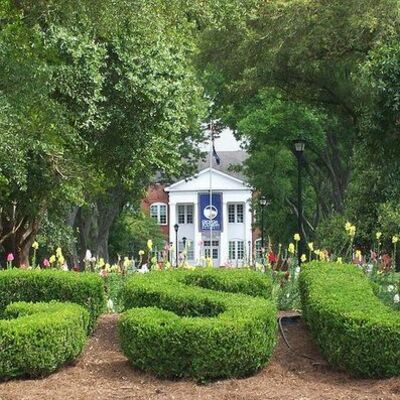 Timeline: My College Life at GSU