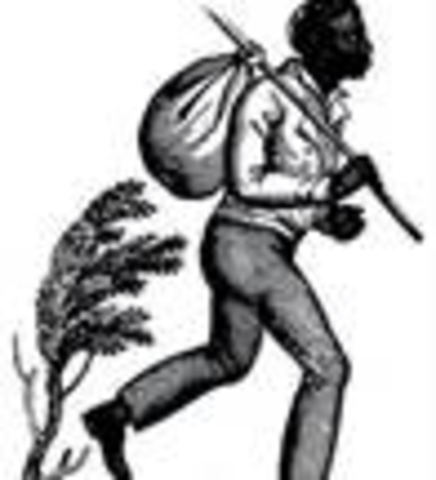 Nat's father Escapes