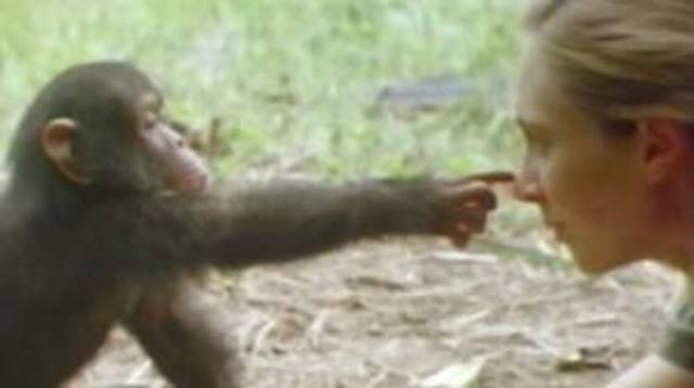 Finished school, went to Africa