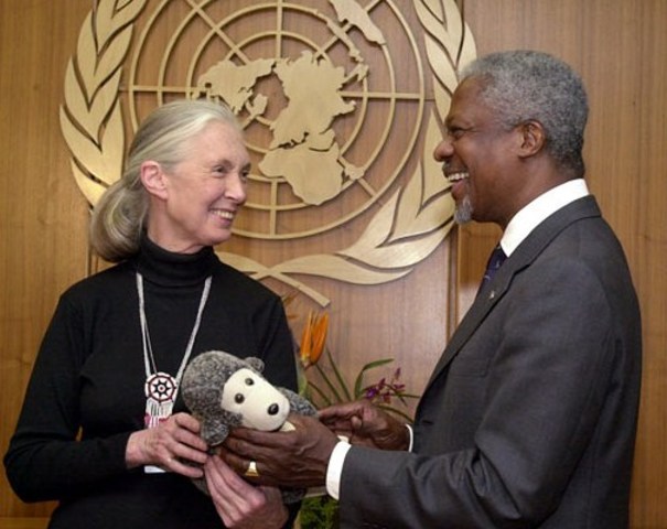 United Nations Messenger of Peace