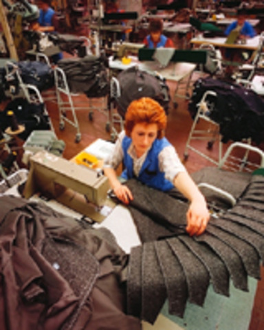 Domestic Industry Trends