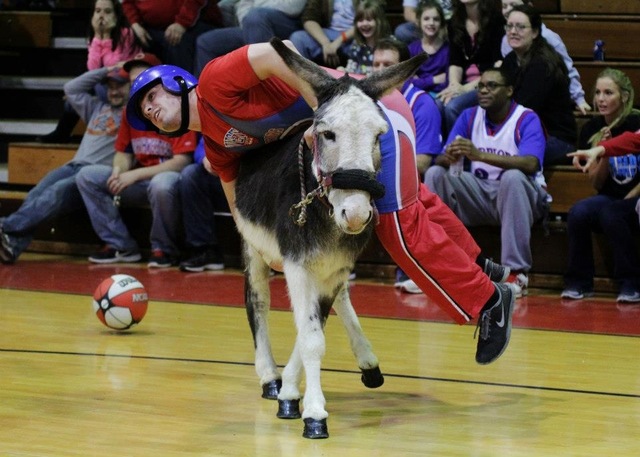 Donkey Basketball
