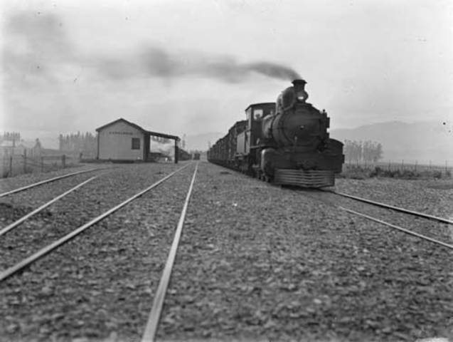 Polly announces she will travel to Canada