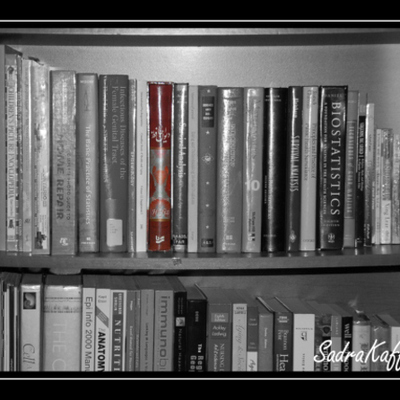 Timeline: Lauren Noble's Reading Timeline