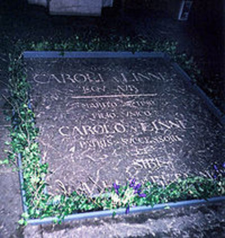 Fallecimiento de Linneo