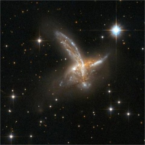 Els inicis de la vida